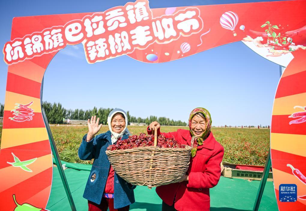 博一堂老虎机